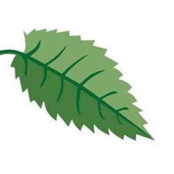 Biohof Dertnig