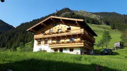 Biobergbauernhof Brandenau