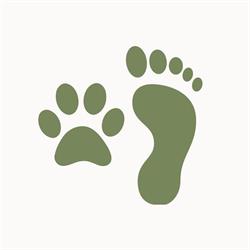 Zum Glück - Hunde