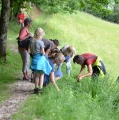 Kräuterwanderung