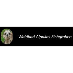 Waldbad Alpakas - Alpaka Wanderung und Lama Wanderung