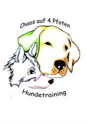 Chaosauf4Pfoten Hundetraining