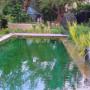 Die Grünerie, Gartenberatung und Gartendesign in Mödling