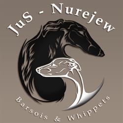 JuS-Nurejew