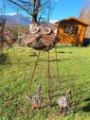 Koz