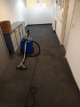 Teppichreinigung Teppichreinigung