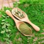 Copywright ® Gesund durch Essen - Monika Hofbauer, 1220 Wien