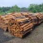 Holz Bündel