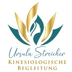 Kinesiologische Begleitung Ursula Streicher