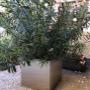 Metall-garten-design.at