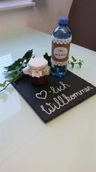 Ferienwohnungen Familie Reiner