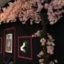 Stilvoller Innenbereich der Diamond Sun & Beauty Lounge in Wien – moderne Beauty Lounge und Solarium mit einzigartigem Kirschblütendekor.