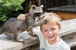 Erlebniswelt Assling