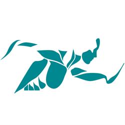 OPTIMUM Training - Personal Training