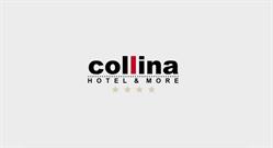 HOTEL APART COLLINA