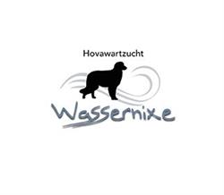 Hovawarte von der Wassernixe