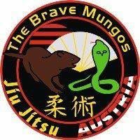 Jiu Jitsu Kapfenberg The Brave Mungos