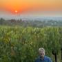 Weinlese bei Sonnenuntergang über Wien: Winzer im Weinberg von Zahel Weingut & Heuriger mit frischen Trauben für den biodynamischen Wiener Gemischten Satz.
