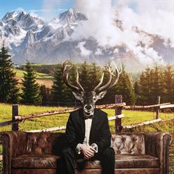 BinderS Budget City-Mountain Hotel
