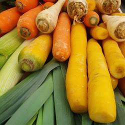 Glockengießer Obst & Gemüse