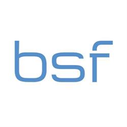 BSF IT-Solutions GmbH
