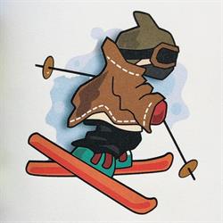 Outdo - Ski & Snowboard School - Zell am See