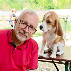 Beagles of Jack's Connection