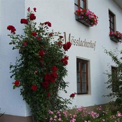 Mösslacherhof