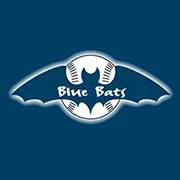 Blue Bats Batsfield