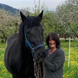 Silvi's Pferdeparadies