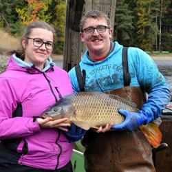 Hofbauer's Waldviertler Fische