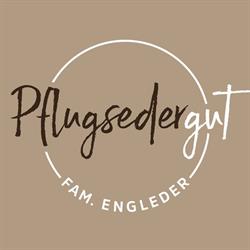 Pflugsedergut