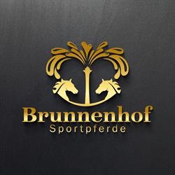 Brunnenhof Sportpferde