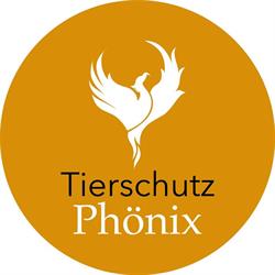 Tierschutz Phönix