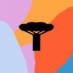 Baobaba HQ - Bio Baobab Pulver online kaufen