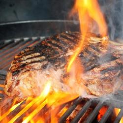Bio Obi’s Bio Rindfleisch & Rinderzucht