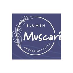 Blumen Muscari