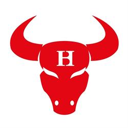 Ballpark Hard Bulls