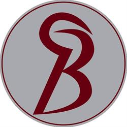 Reiner Bernhard IT