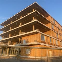 Barbara-Prammer-Schule