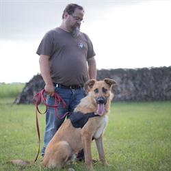 Dein Hunde und Mentaltrainer