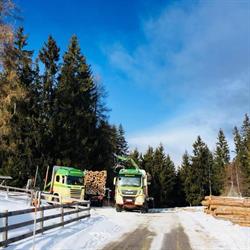Holztransporte Tatschl