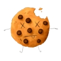 datensparsame website ohne cookies