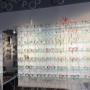 Die beeindruckende Brillenwand bei SOS Augenoptik zeigt die Vielfalt unserer Kollektionen. Finden Sie Ihre neue Gleitsichtbrille Wien oder lassen Sie sich von Ihrem Augenoptiker in 1140 Wien zu den neuesten Trends beraten.