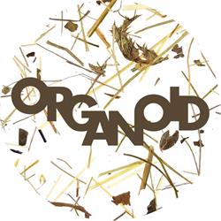 ORGANOID GmbH