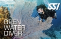 SSI Open Water Diver Kurs