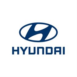Hyundai-Partner Wolfgang Denzel Auto AG