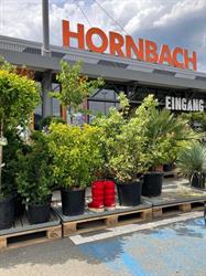 HORNBACH Tierbedarf Leoben