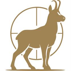 Schuss und Stille - Das Online-Jagdmagazin mit Weitblick