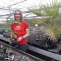 Mag. Sabine Watzer von der AustroPalm Bio-Gärtnerei präsentiert stolz einen jungen Feigenbaum im Gewächshaus. Die Gärtnerei steht für biologischen Anbau, Pflanzenvielfalt und persönliche Beratung in Guntramsdorf, Niederösterreich.